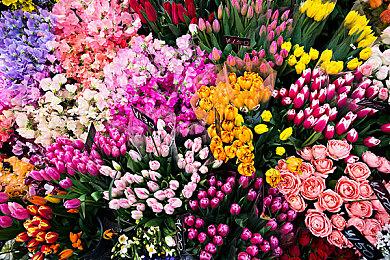 《寂静岭2重制版》PS5版无加载画面 支持触觉反馈等